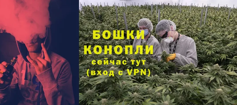 Каннабис OG Kush  сайты даркнета состав  Вяземский 